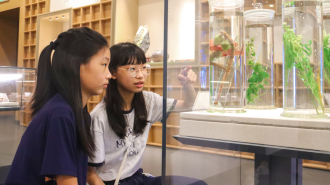 南阳市宛城区：中医药研学点亮青少年“多彩暑期”