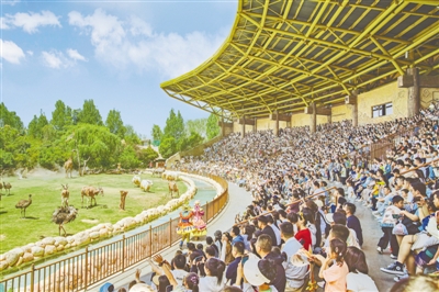 水光山色与人亲——“五一”假期郑州文旅市场魅力无限