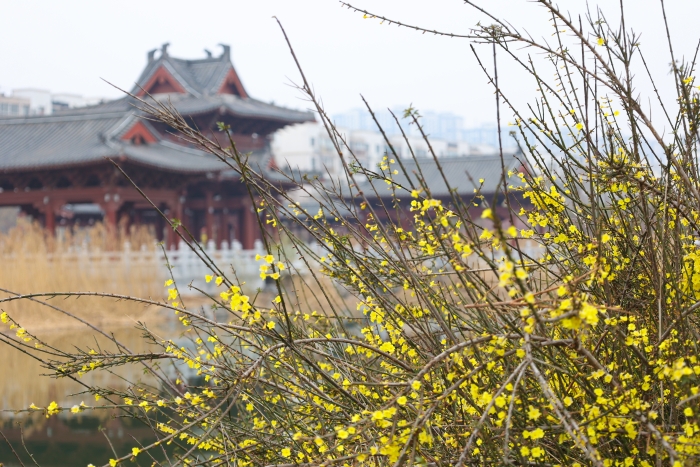 古城春色入画来_fororder_654235_700x700