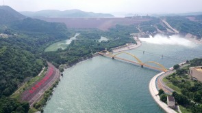 水清岸绿鸟翩跹——河南黄河流域生态治理观察
