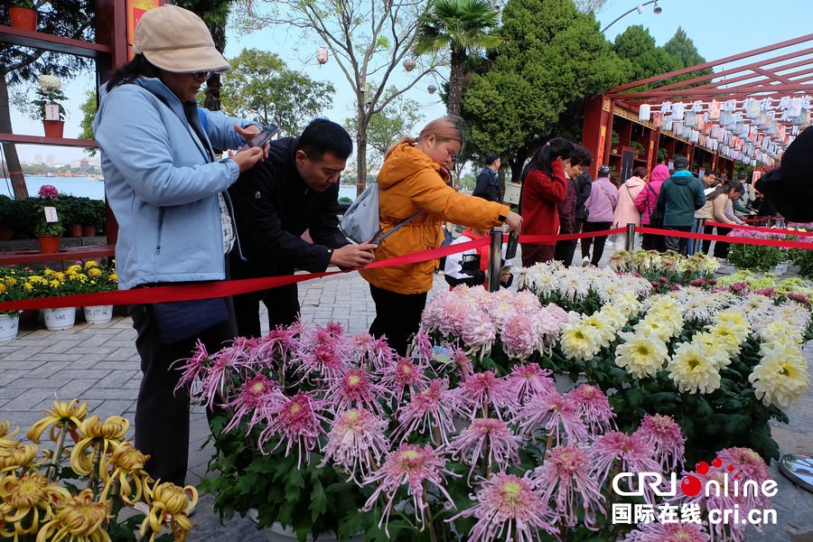 中国开封第43届菊花文化节启幕 邀海内外宾朋品宋韵菊香_fororder_DSCF3461.JPG