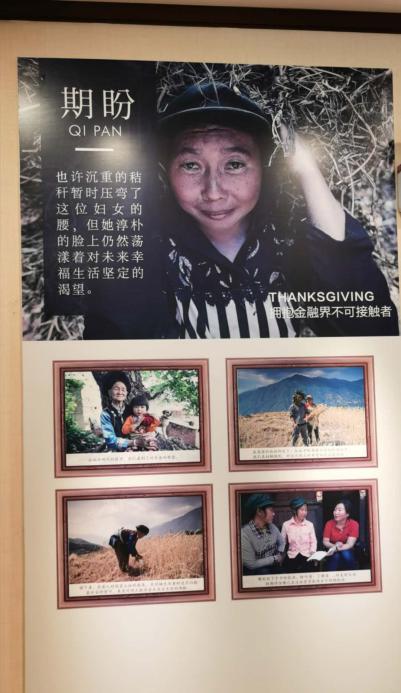 【走向我们的小康生活】彝族妇女李秀英的脱贫故事_fororder_4