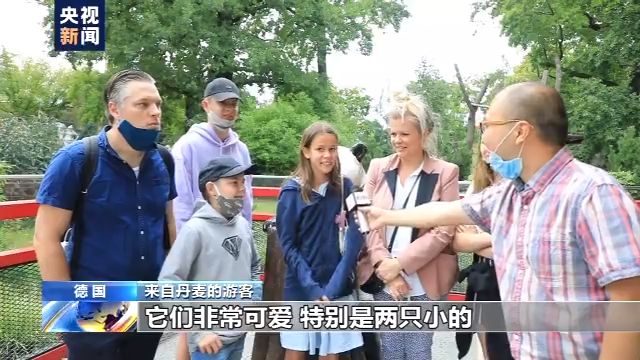 旅美大熊猫成功产崽 美国民众：黑暗中唯一的好消息