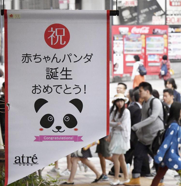 旅美大熊猫成功产崽 美国民众：黑暗中唯一的好消息