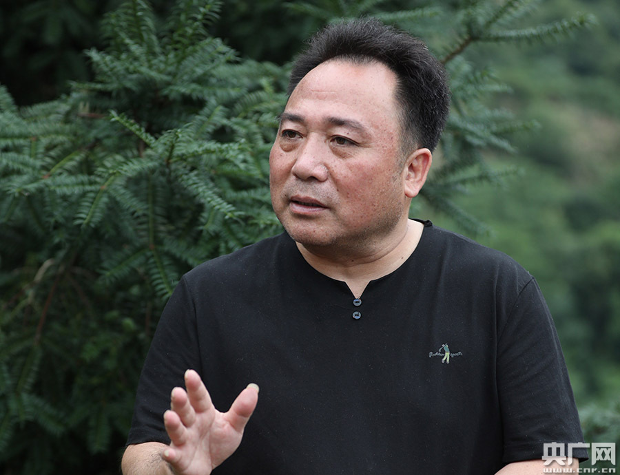 【山中青年】朱雯倩：一片香榧林 两代香榧人