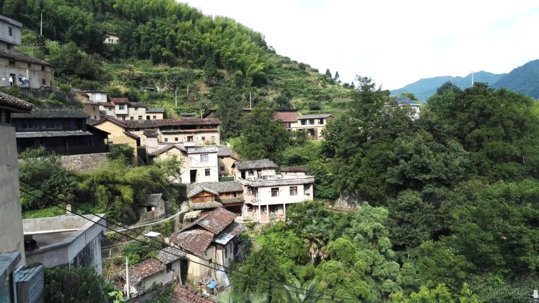 绿水青山不负人，生态产业正青春