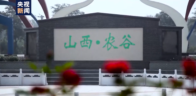 走向我们的小康生活丨山西80后小伙：用科技让农民富起来！
