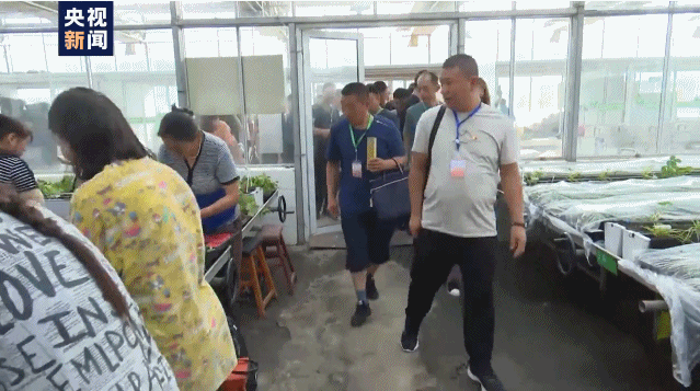 走向我们的小康生活丨山西80后小伙：用科技让农民富起来！