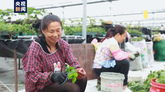走向我们的小康生活丨山西80后小伙：用科技让农民富起来！