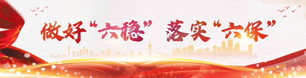 六稳六保_fororder_{5A07DD86-40AF-4C6A-93A4-CBC6B3632C1A}