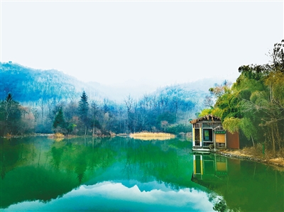 图片默认标题