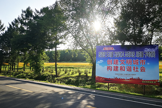 延吉市帽儿山下6万平方米空地变“花海”