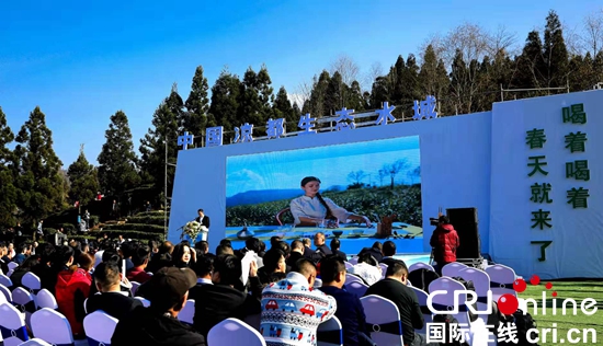 （文中作了修改）水城“早春茶”带来小康春天