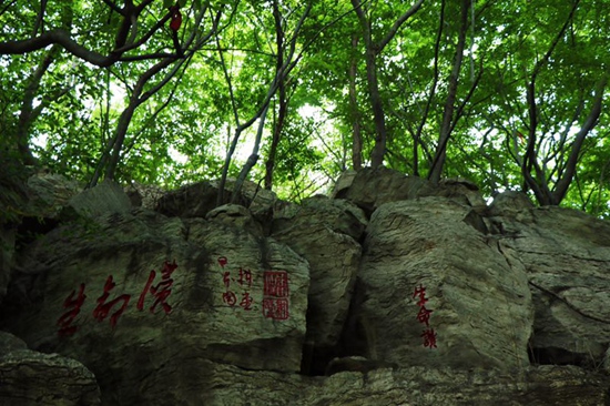 枣庄峄城冠世榴园：小石榴托起致富梦