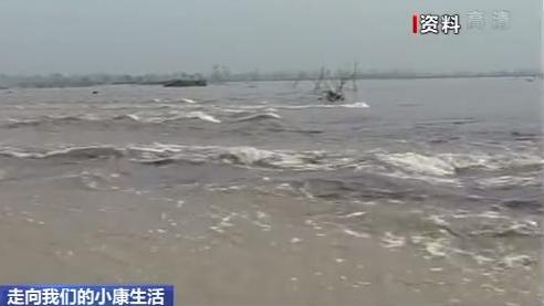 走向我们的小康生活丨山东黄河滩区：农民画里的新生活