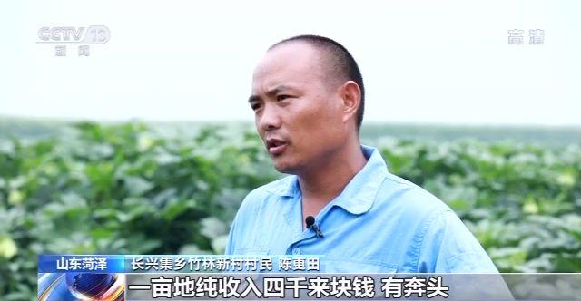 走向我们的小康生活丨山东黄河滩区：农民画里的新生活