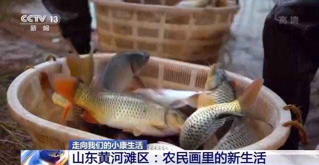 走向我们的小康生活丨山东黄河滩区：农民画里的新生活