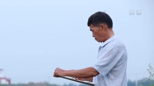走向我们的小康生活丨山东黄河滩区：农民画里的新生活