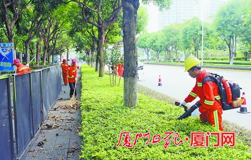 厦门市市政园林部门强化责任担当 加力推进文明创建工作