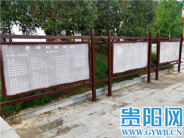“贵州村规民约示范村”主题报道第四站走进湄潭县茅坝村