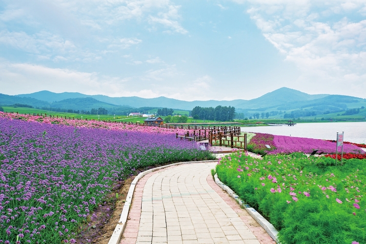 绘就安居乐业美好图景——长春市双阳区太平镇小石村村企共建推动乡村振兴纪实