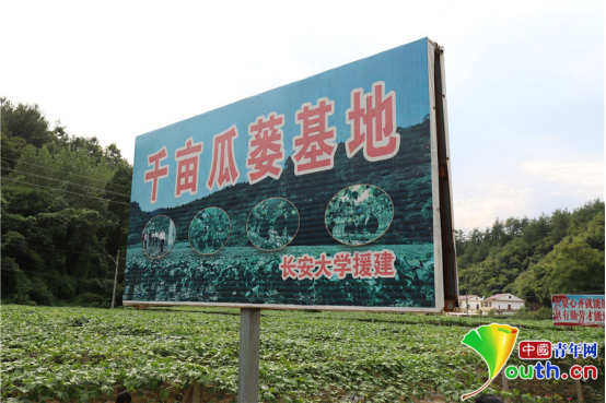 秦岭深山拓宽致富路——长安大学帮扶商南县脱贫纪实