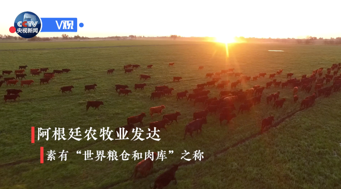 【独家V观】你好，阿根廷 Hola Argentina
