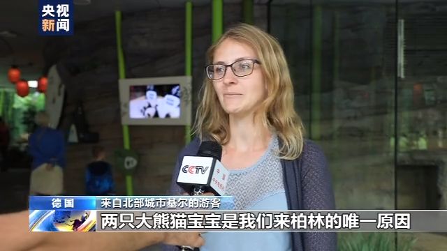 旅美大熊猫成功产崽 美国民众：黑暗中唯一的好消息