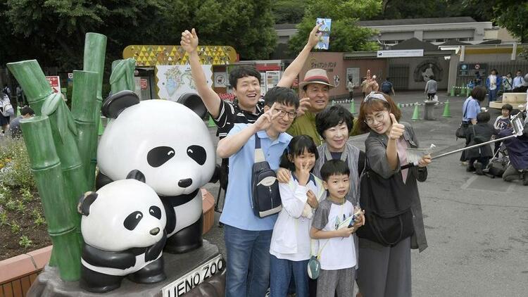 旅美大熊猫成功产崽 美国民众：黑暗中唯一的好消息