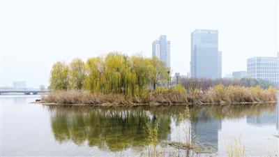 【中原名景-图片】龙子湖冬日的美景惹人醉