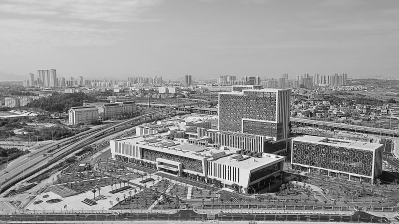 厦门市政协委员们积极建言献策 共谋城市发展 力促民生改善