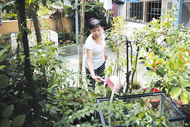 【有修改】【B】重庆江北鱼嘴镇：搬了新房 暖了心房