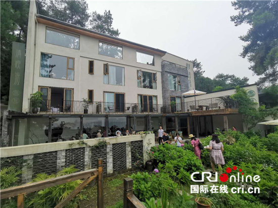 重庆多措并举开展生态修复 筑牢长江上游重要生态屏障_fororder_1