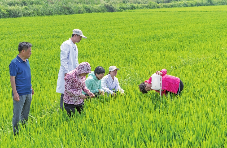 四平：产业扶贫夯实全面小康根基
