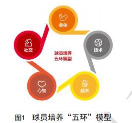 足协青训大纲：国家队踢攻势足球 各梯队踢顶级赛事