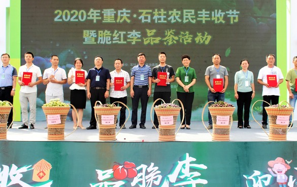 【有修改】【B】2020重庆石柱农民丰收节暨脆红李品鉴活动正式开幕