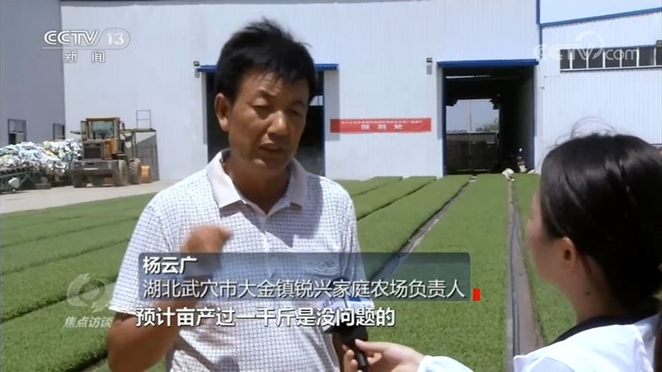 焦点访谈：水退人进、多管齐下，全年粮食丰收就靠他们了！