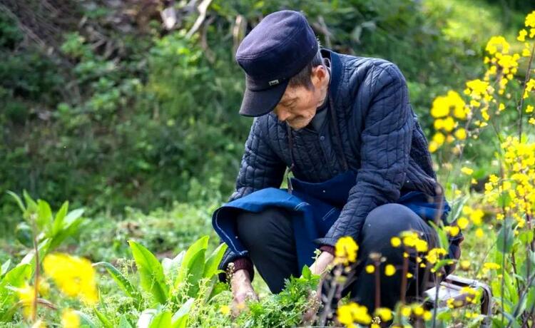 【方志四川•纪念抗美援朝出国作战70周年】四川江安籍90岁老兵姚世安追忆抗美援朝戎马岁月
