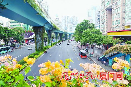 厦门市市政园林部门强化责任担当 加力推进文明创建工作