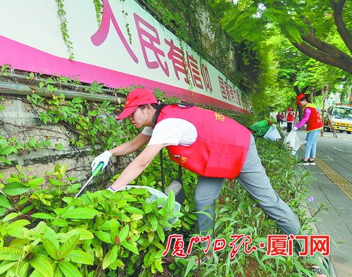厦门市市政园林部门强化责任担当 加力推进文明创建工作