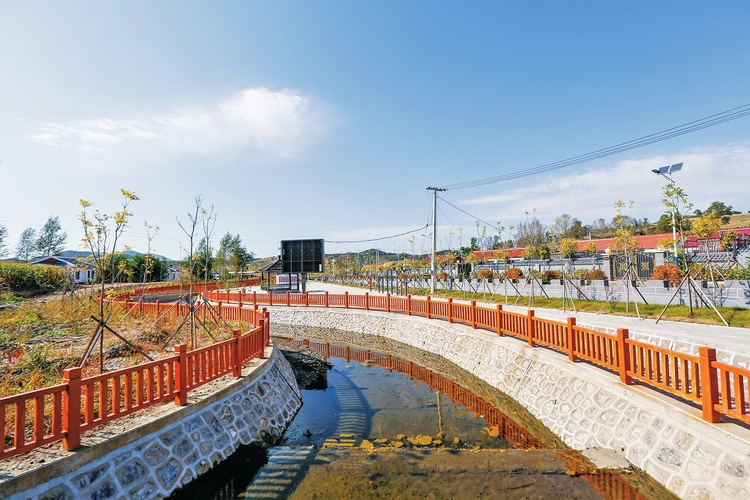绘就安居乐业美好图景——长春市双阳区太平镇小石村村企共建推动乡村振兴纪实