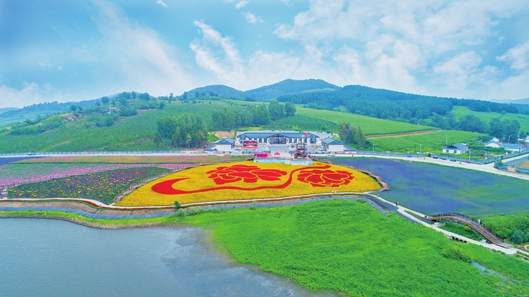 绘就安居乐业美好图景——长春市双阳区太平镇小石村村企共建推动乡村振兴纪实