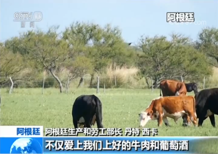 专访阿根廷生产和劳工部长：习主席访问是阿根廷的历史性机遇