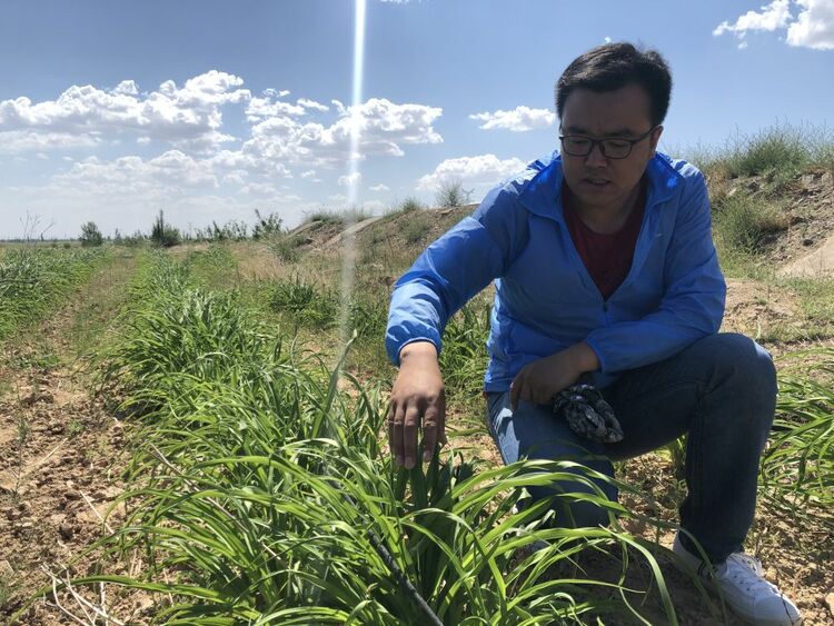 新时代如何弘扬抗战精神，习近平这样说