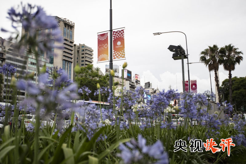 【央视快评】共同做大国际贸易蛋糕