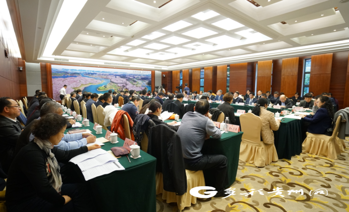 【聚焦两会·委员声音】助力贵州旅游高质量发展 委员有话说