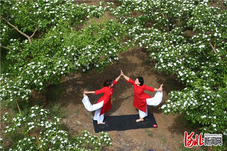凝心聚力奔小康｜清河：“羊绒之都”冲刺巅峰