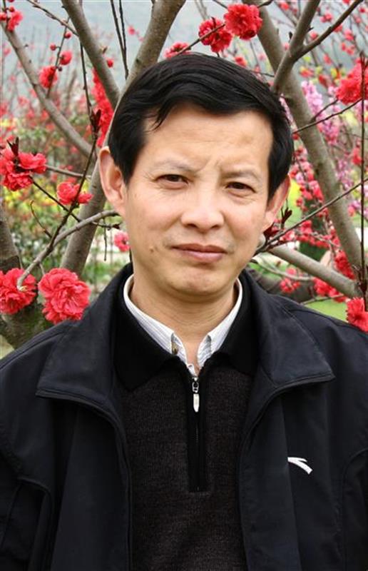 夏奇星书法管窥：无意于佳乃佳