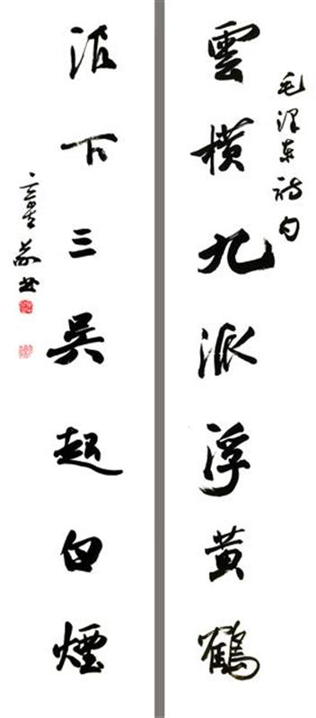 夏奇星书法管窥：无意于佳乃佳