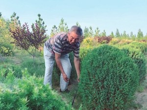 库布其：沙漠变绿生态富民